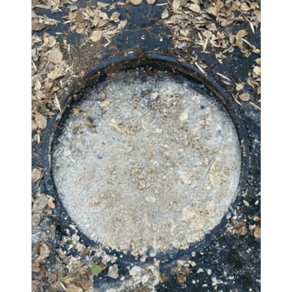 grease trap cleaning doral